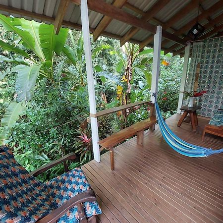 Casa Lina Sloth View Exotic Apartment With Privat Kitchen Puerto Viejo de Talamanca المظهر الخارجي الصورة