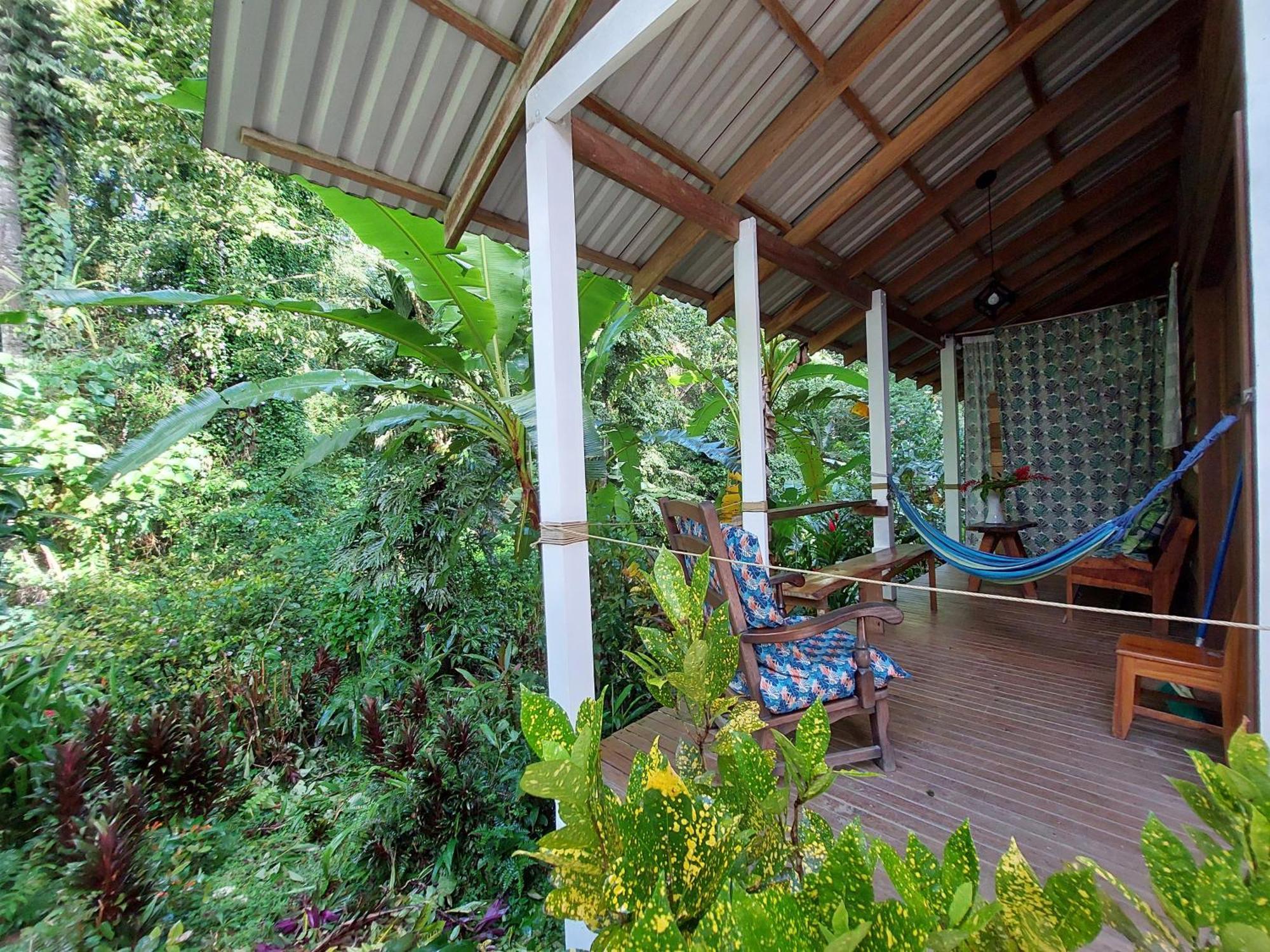 Casa Lina Sloth View Exotic Apartment With Privat Kitchen Puerto Viejo de Talamanca المظهر الخارجي الصورة