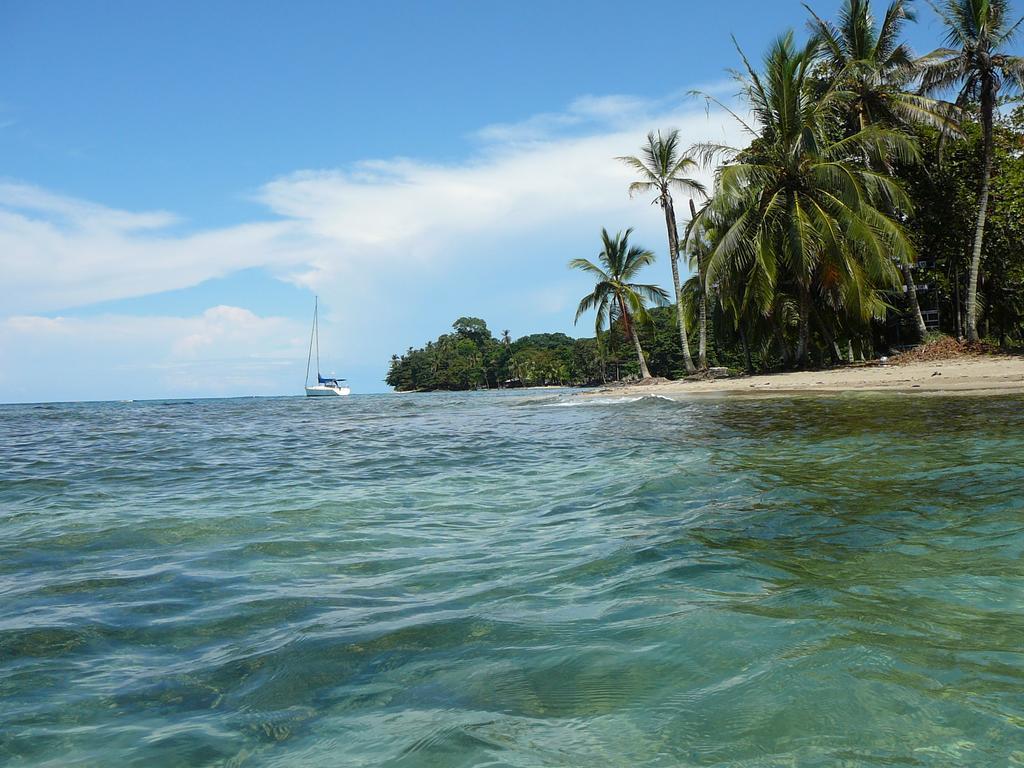 Casa Lina Sloth View Exotic Apartment With Privat Kitchen Puerto Viejo de Talamanca الغرفة الصورة