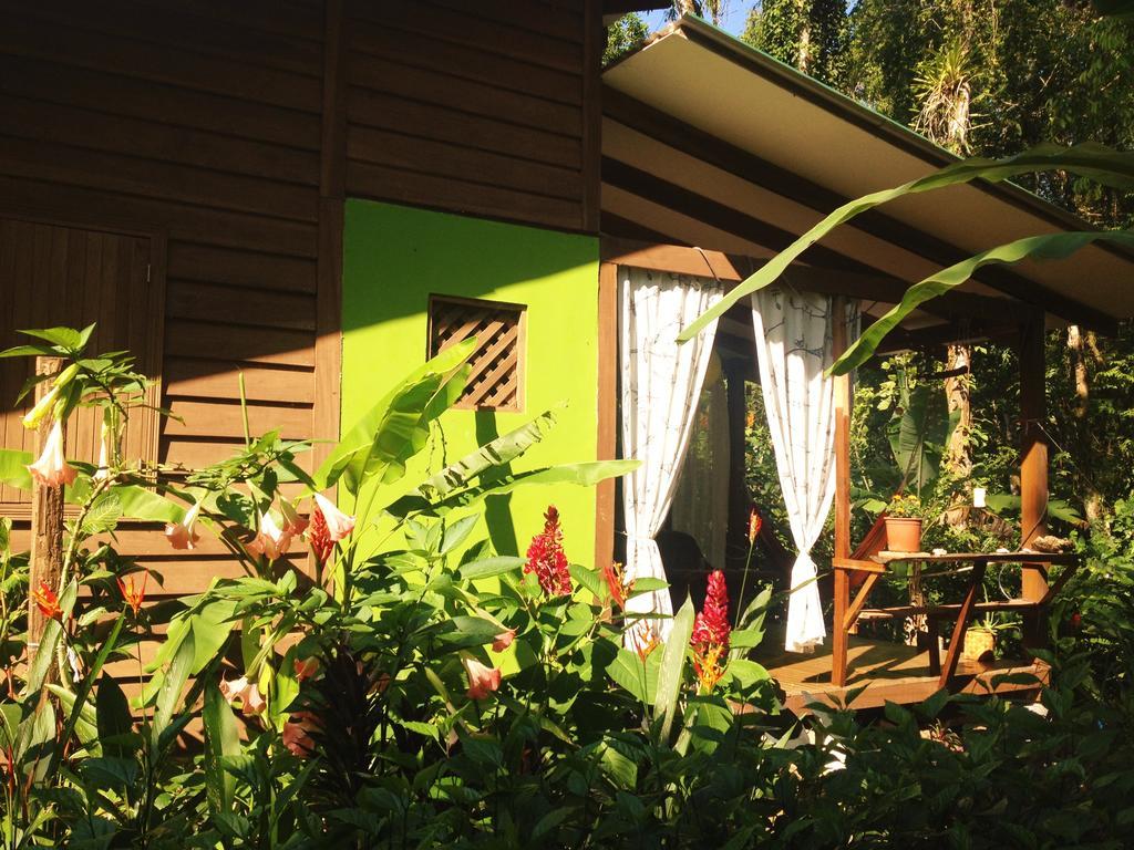 Casa Lina Sloth View Exotic Apartment With Privat Kitchen Puerto Viejo de Talamanca المظهر الخارجي الصورة