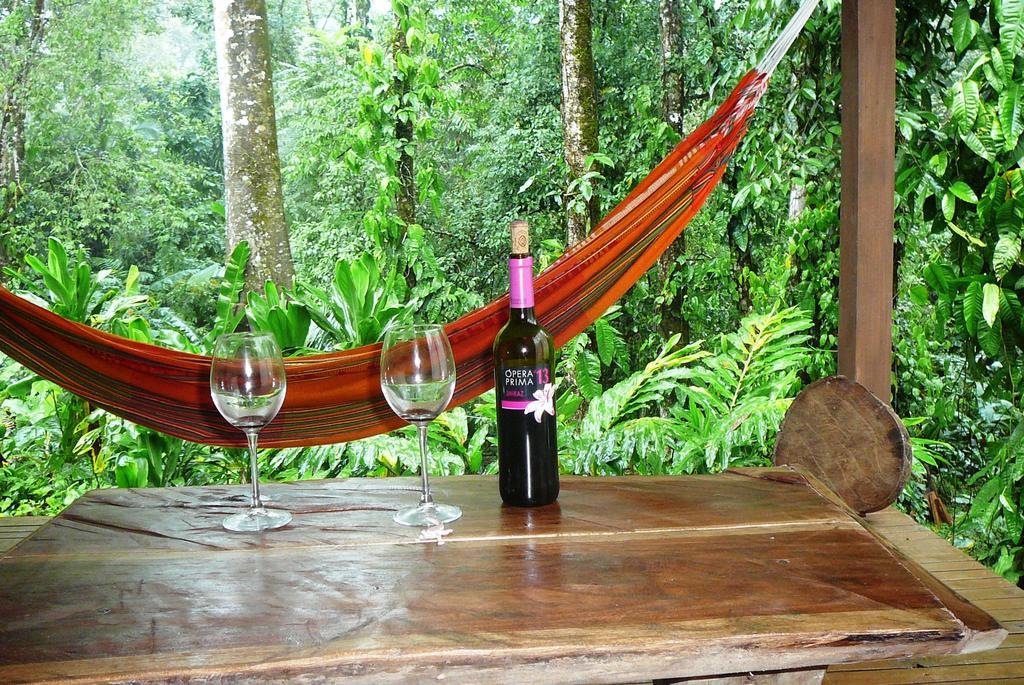 Casa Lina Sloth View Exotic Apartment With Privat Kitchen Puerto Viejo de Talamanca الغرفة الصورة