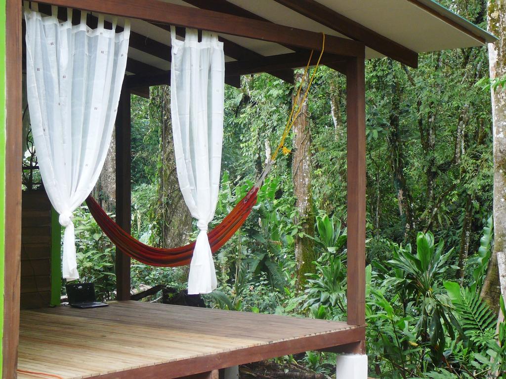 Casa Lina Sloth View Exotic Apartment With Privat Kitchen Puerto Viejo de Talamanca الغرفة الصورة