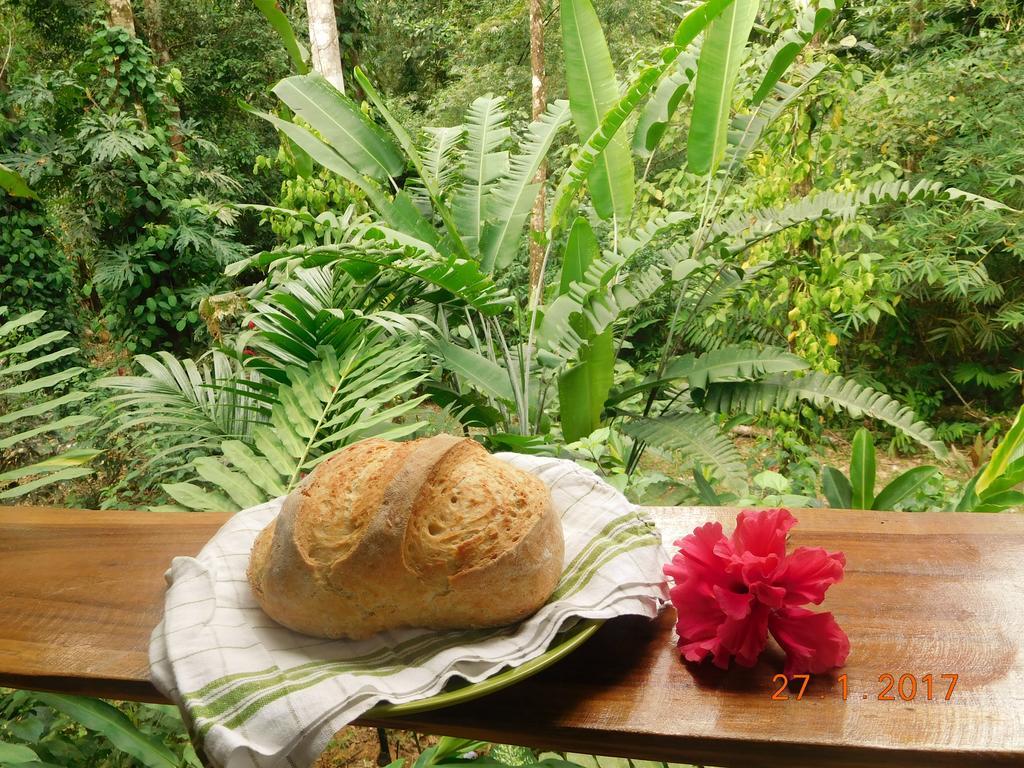 Casa Lina Sloth View Exotic Apartment With Privat Kitchen Puerto Viejo de Talamanca المظهر الخارجي الصورة
