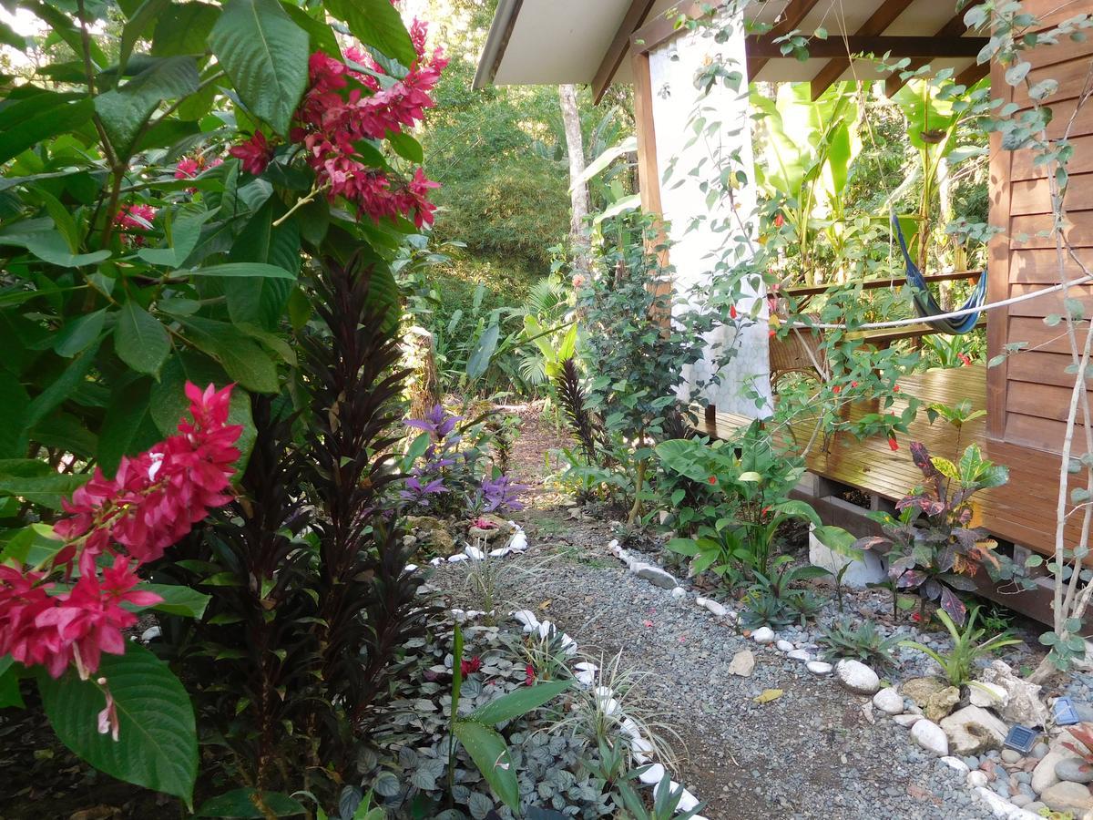 Casa Lina Sloth View Exotic Apartment With Privat Kitchen Puerto Viejo de Talamanca المظهر الخارجي الصورة