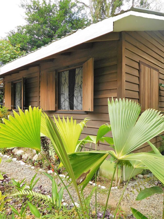 Casa Lina Sloth View Exotic Apartment With Privat Kitchen Puerto Viejo de Talamanca المظهر الخارجي الصورة